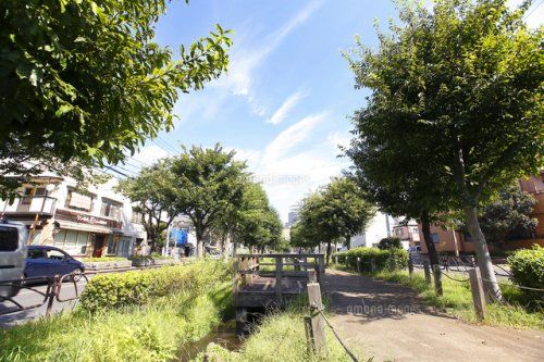 曳舟川親水公園の画像