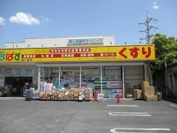 どらっぐぱぱす 西小岩店の画像