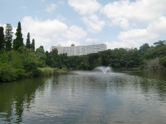 都立 井の頭恩賜公園の画像