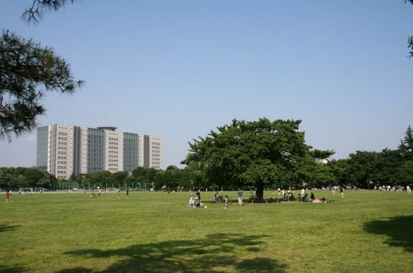 都立 武蔵野中央公園の画像