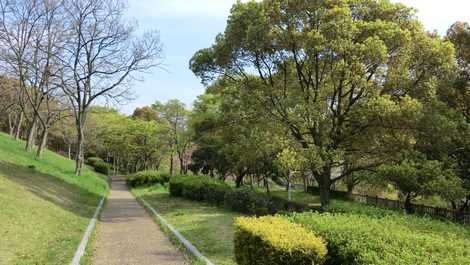 大蓮公園の画像