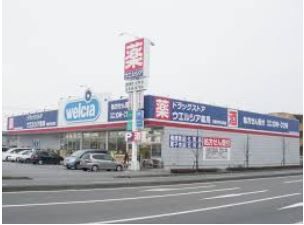 ウエルシア薬局宇都宮平松本町店の画像