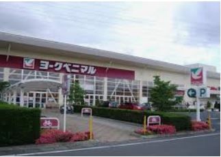 ヨークベニマル簗瀬店の画像