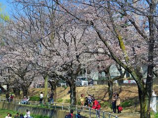 白山公園の画像