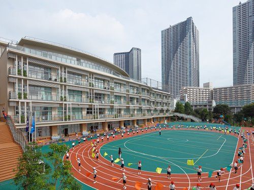 中央区立 豊海小学校の画像