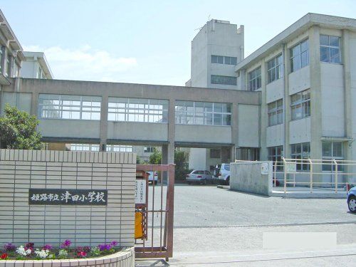 津田小学校の画像