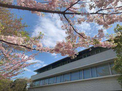 小石川淑徳学園中学校高等学校の画像