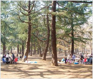 都立 野川公園の画像