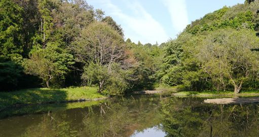 県立谷戸山公園の画像