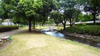 東大宮親水公園の画像