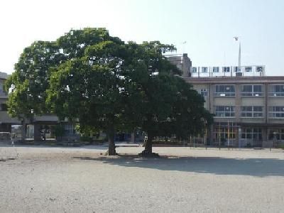 下川淵小学校の画像