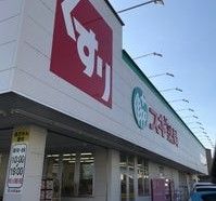 スギドラッグ 大手店の画像