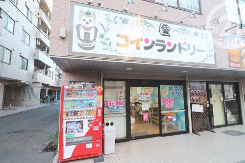 ランドリータクミ　立川店の画像