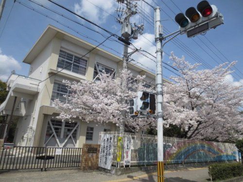 大山崎小学校の画像