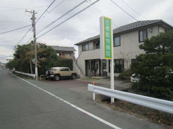 古橋動物病院の画像