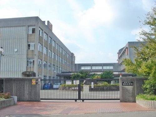 姫路市立曽左小学校の画像