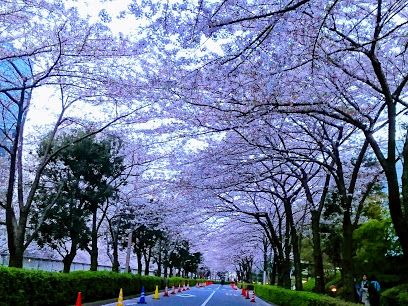 居木橋公園の画像