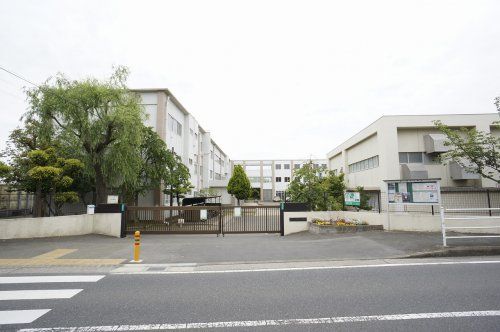 茅ヶ崎市立柳島小学校の画像