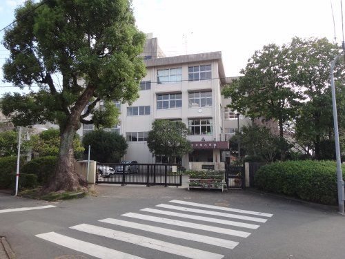 熊本市立出水南小学校の画像