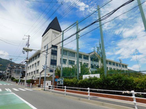 神戸市立六甲小学校の画像