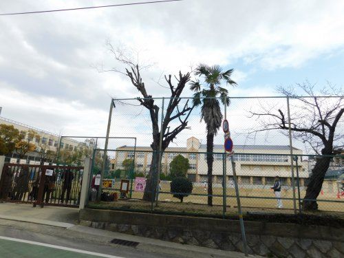 神戸市立本山第三小学校の画像