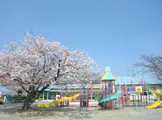 高台幼稚園の画像