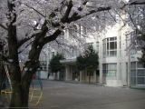 桜幼稚園の画像
