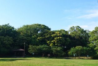 はるひ夢の森公園の画像