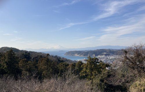 葉桜から富士山江ノ島展望の画像