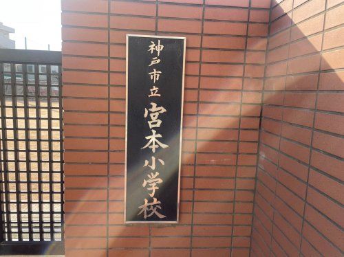神戸市立宮本小学校の画像