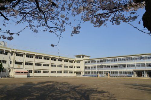 若葉小学校の画像