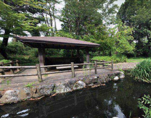 行田公園の画像