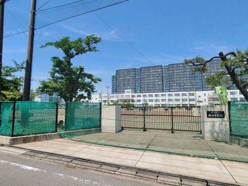 茅ヶ崎市立梅田中学校の画像