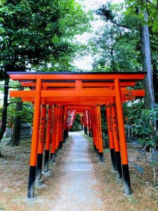 東伏見稲荷神社の画像