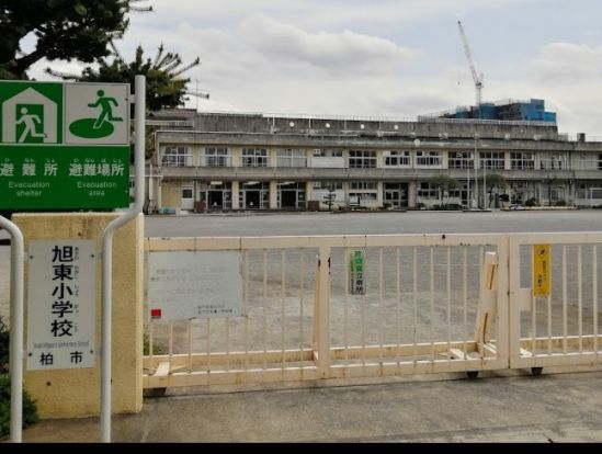 柏市立旭東小学校の画像