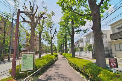 世田谷区立北沢川緑道ユリの木公園の画像