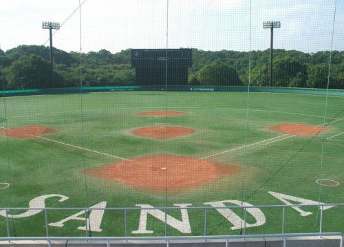 アメニスキッピースタジアム(三田市立城山公園野球場)の画像