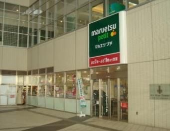 maruetsu(マルエツ) プチ 東池袋駅前店の画像
