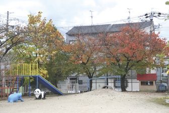 菱屋西幼稚園の画像