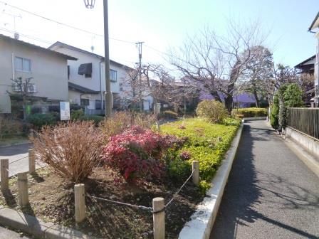 世田谷区立玉川上水第二緑道の画像