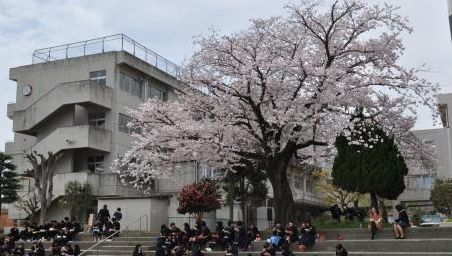 北中学校の画像