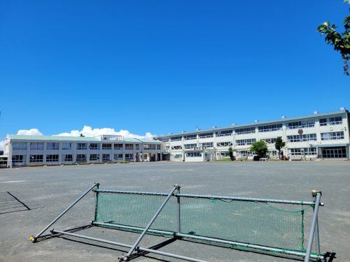 茅ヶ崎市立松林小学校の画像
