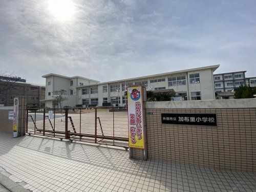 糸島市立加布里小学校の画像