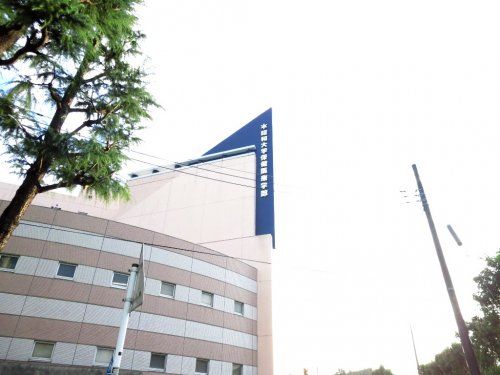 私立昭和大学横浜キャンパスの画像