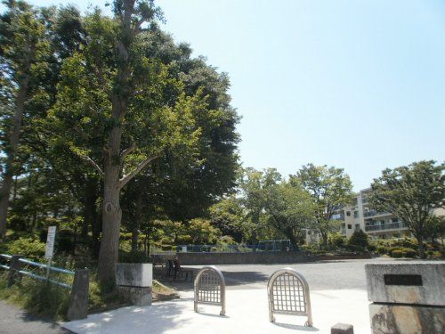 南長津田公園の画像