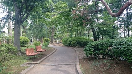 駒沢緑泉公園の画像
