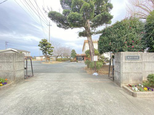 熊本市立植木小学校の画像