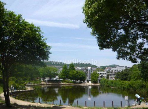 樋之池公園の画像