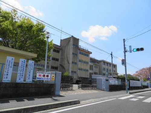 晃宝小学校の画像