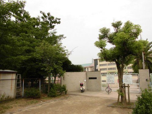 尼崎市立園和北小学校 の画像
